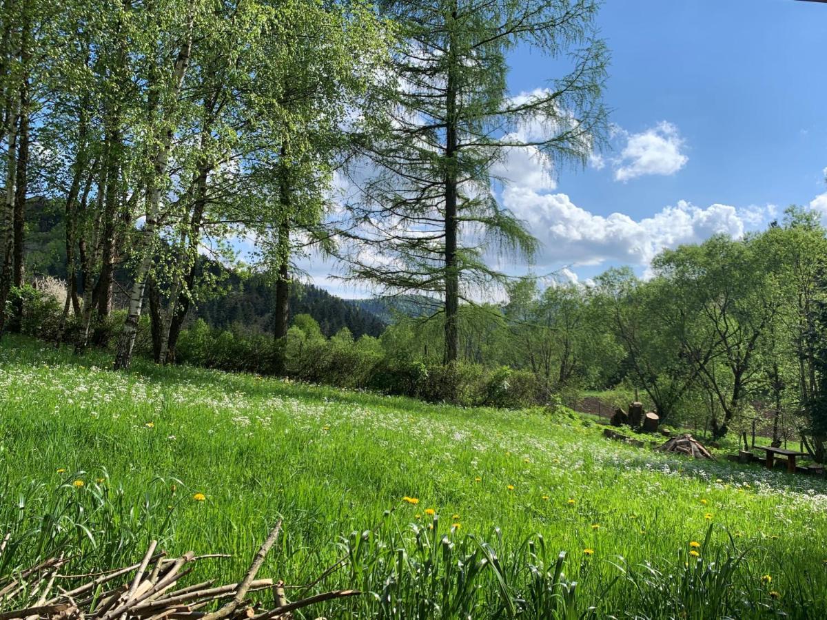 Tylko Tu Bieszczady, Balia, Sauna Baligrod Exterior photo
